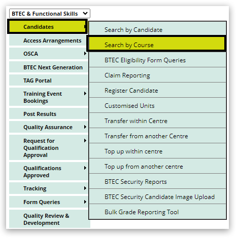 btecfa options ds copy.png