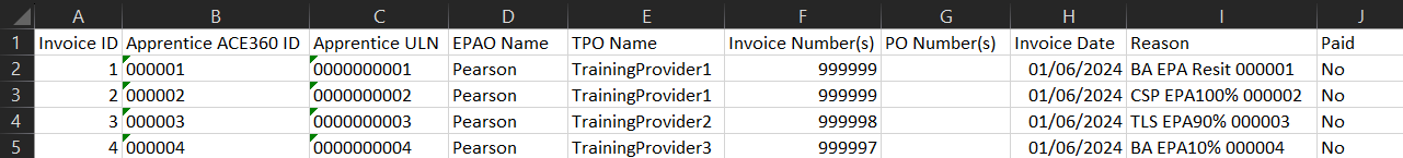 Invoice Report csv file