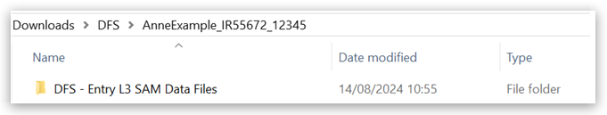 File explorer window showing folder path 'Downloads > DFS > AnneExample_IR55672_12345'. One folder—'DFS - Entry L3 SAM Data Files'—is listed.