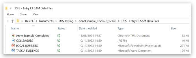 File Explorer window showing folder 'DFS - Entry L3 SAM Data Files' with four files: Anne_Example_Completed (HTML), COLLEAGUES (JPG), LOCAL BUSINESS (PPT), TASK & EVIDENCE (Word), with the new HTML file added on 14/08/2024