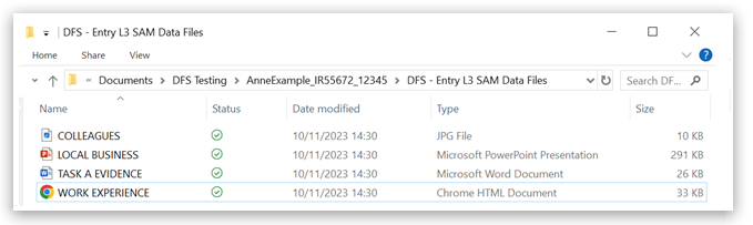 File Explorer window showing folder 'DFS - Entry L3 SAM Data Files' with four files: COLLEAGUES (JPG), LOCAL BUSINESS (PPT), TASK & EVIDENCE (Word), and WORK EXPERIENCE (HTML), all modified on 10/11/2023 at 14:30 with green checkmarks on status.